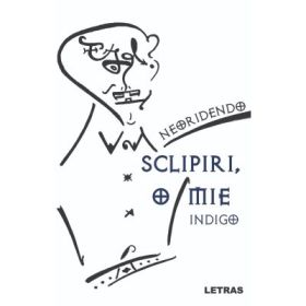Sclipiri, o mie - vol. 2 Indigo - Neoridendo