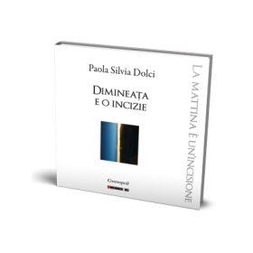 Dimineata e o incizie - Paola Silvia Dolci