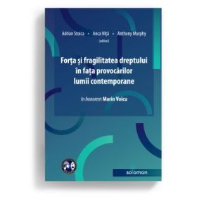 Forta si fragilitatea dreptului in fata provocarilor lumii contemporane - Adrian Stoica
