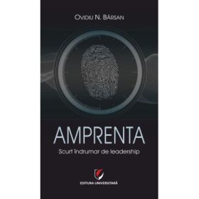 Amprenta. Scurt indrumar de leadership - Ovidiu N. Barsan