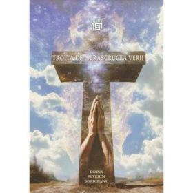 Troita de la rascrucea verii - Doina Severin Boriceanu