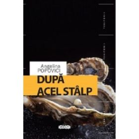 Dupa acel stalp - Angelina Popovici