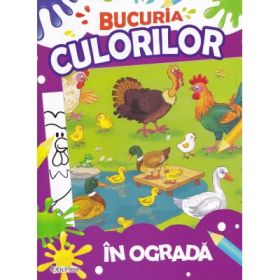 Bucuria culorilor. In ograda