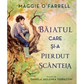 Baiatul care si-a pierdut scanteia - Maggie O’Farrell