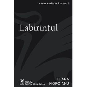 Labirintul - Ileana Moroianu