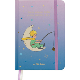 Carnet A6 The Little Prince Fishing the Stars, Kiub