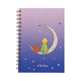 Agenda A5 Le Petit Prince Renard, Kiub