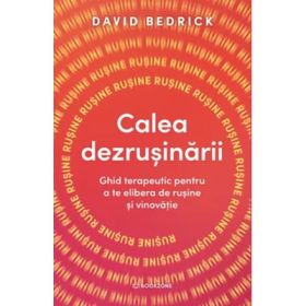 Calea dezrusinarii. Ghid terapeutic pentru a te elibera de rusine si vinovatie - David Bedrick