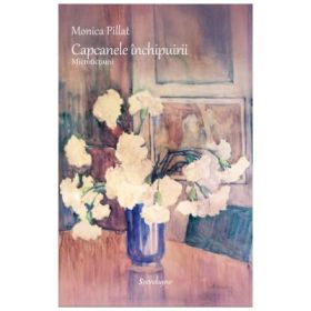 Capcanele inchipuirii. Microfictiuni 2023‒2025 - Monica Pillat