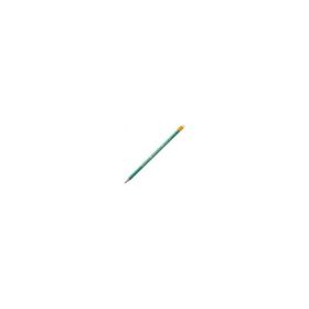 Creion grafit Bic Evolution 655 8803323, HB, corp hexagonal verde, cu guma de sters