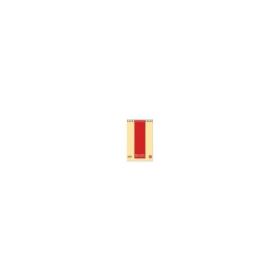 Blocnotes A5 Pigna Styl, 60 file, dictando, cu spira