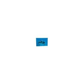 Mapa plastic Eagle ZP043, cu capsa, A5, transparent / albastru