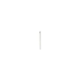 Rigla din plastic transparent, 30cm, ALCO