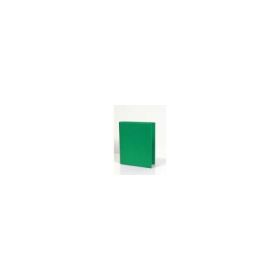 Caiet mecanic 2 inele - D25mm, coperti carton plastifiat PVC, A5, AURORA - verde