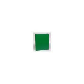 Caiet mecanic 2 inele - D25mm, coperti carton plastifiat PVC, A4, AURORA - verde