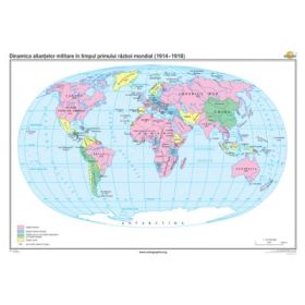 Dinamica aliantelor militare in timpul primului razboi mondial (1914-1918) 140x100 cm CR-3222B