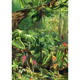 Puzzle 1000 piese + saculet, Jungla, Kiub