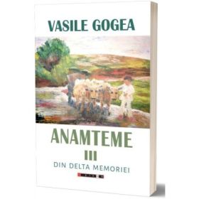 Anateme 3 - Vasile Gogea