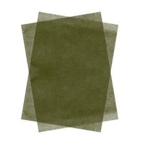 Hartie matase Colorarte, 66x50cm, verde fistic, set 100 coli