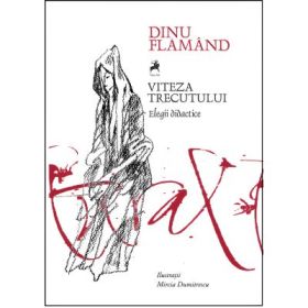 Viteza trecutului - Dinu Flamand
