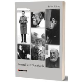 Secretul lui N. Steinhardt - Iulian Baicus
