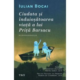 Ciudata si infricosatoarea viata a lui Prita Barsacu - Iulian Bocai