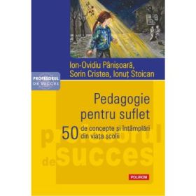 Pedagogie pentru suflet. 50 de concepte si intamplari din viata scolii - Ion-Ovidiu Panisoara