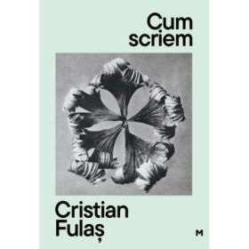 Cum scriem. Editia 2, editie revizuita si adaugita - Cristian Fulas