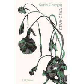 Ceva ceva - Sorin Ghergut