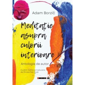 Meditatie asupra culorii interioare - Adam Borzic