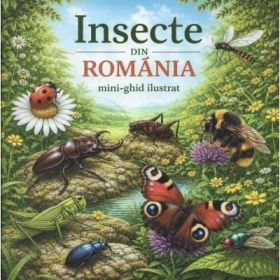 Insecte din Romania. Mini-ghid ilustrat