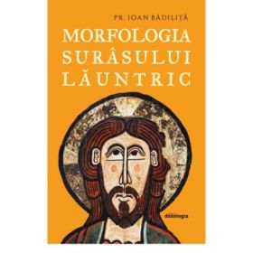Morfologia surasului launtric - Pr. Ioan Badilita