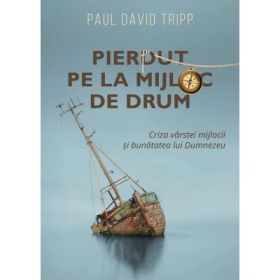 Pierdut pe la mijloc de drum - Paul David Tripp