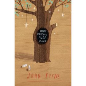 Noah Baleywater fuge de acasa - John Boyne