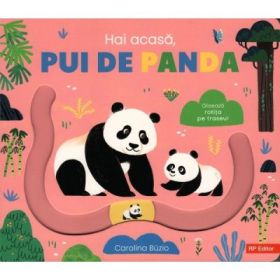 Hai acasa, pui de panda - Carolina Buzio